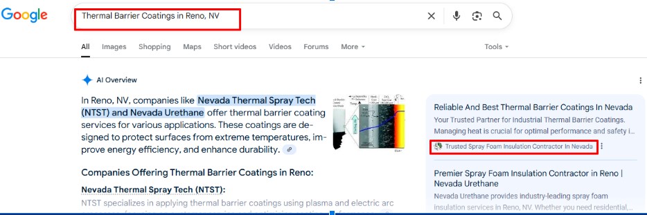 Google AI Overview Case Study